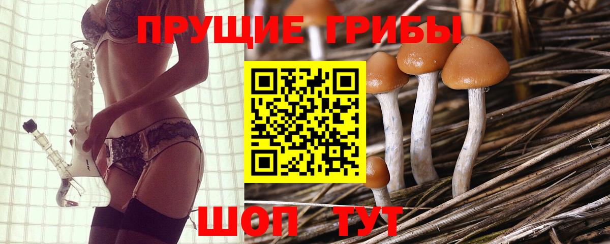 Волжск  Псилоцибиновые грибы GOLDEN TEACHER  Вход с VPN 