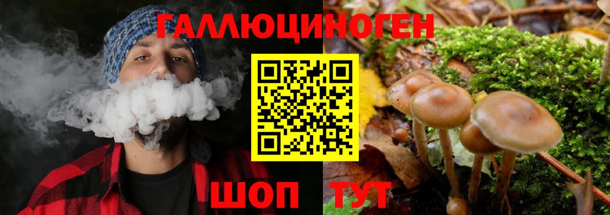 Псилоцибиновые грибы Magic Shrooms Волжск